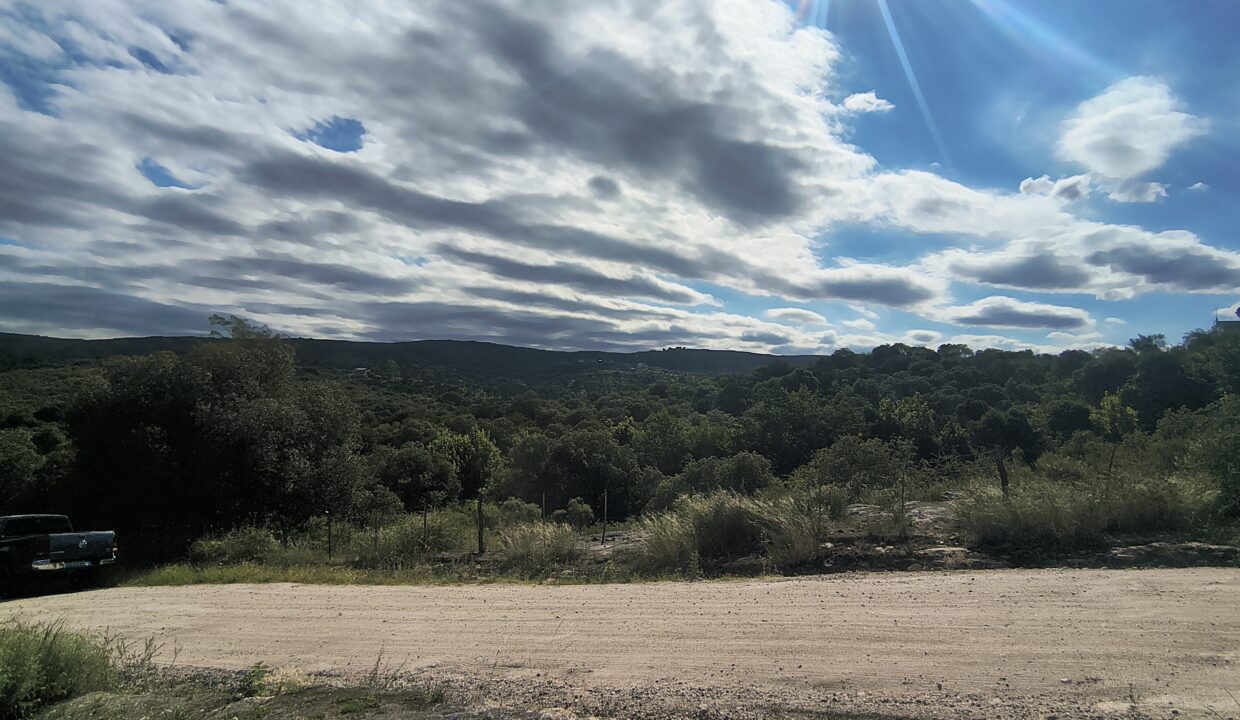 IMG_20260126_172821778_HDR