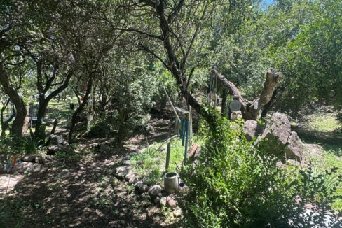 d8a9821d-744b-48c3-9f88-a098d8a0efb2