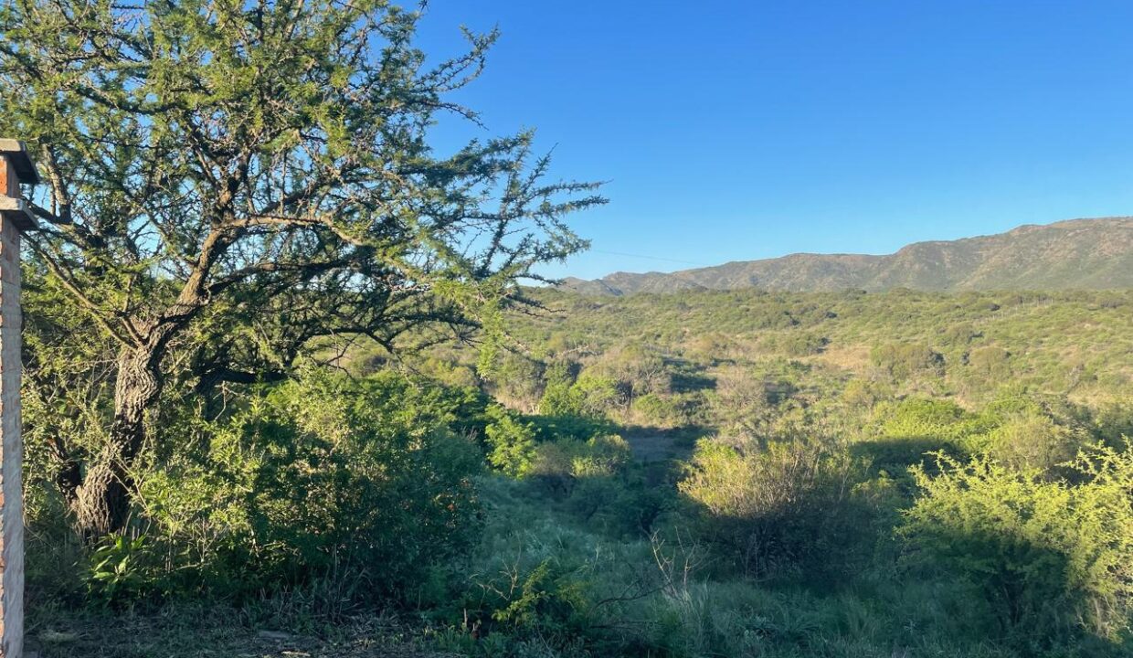 08df6d99-b4a0-4f57-8ea1-d06b5c0dfc6f