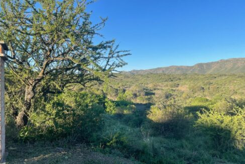 08df6d99-b4a0-4f57-8ea1-d06b5c0dfc6f