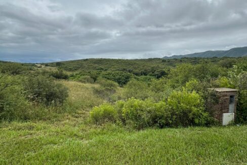 45988961-4814-4ac5-9b8f-d7c5ea582a95