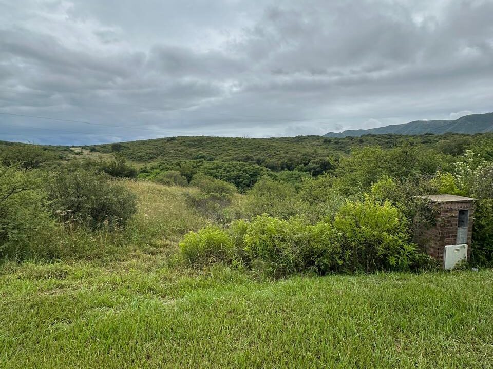 45988961-4814-4ac5-9b8f-d7c5ea582a95