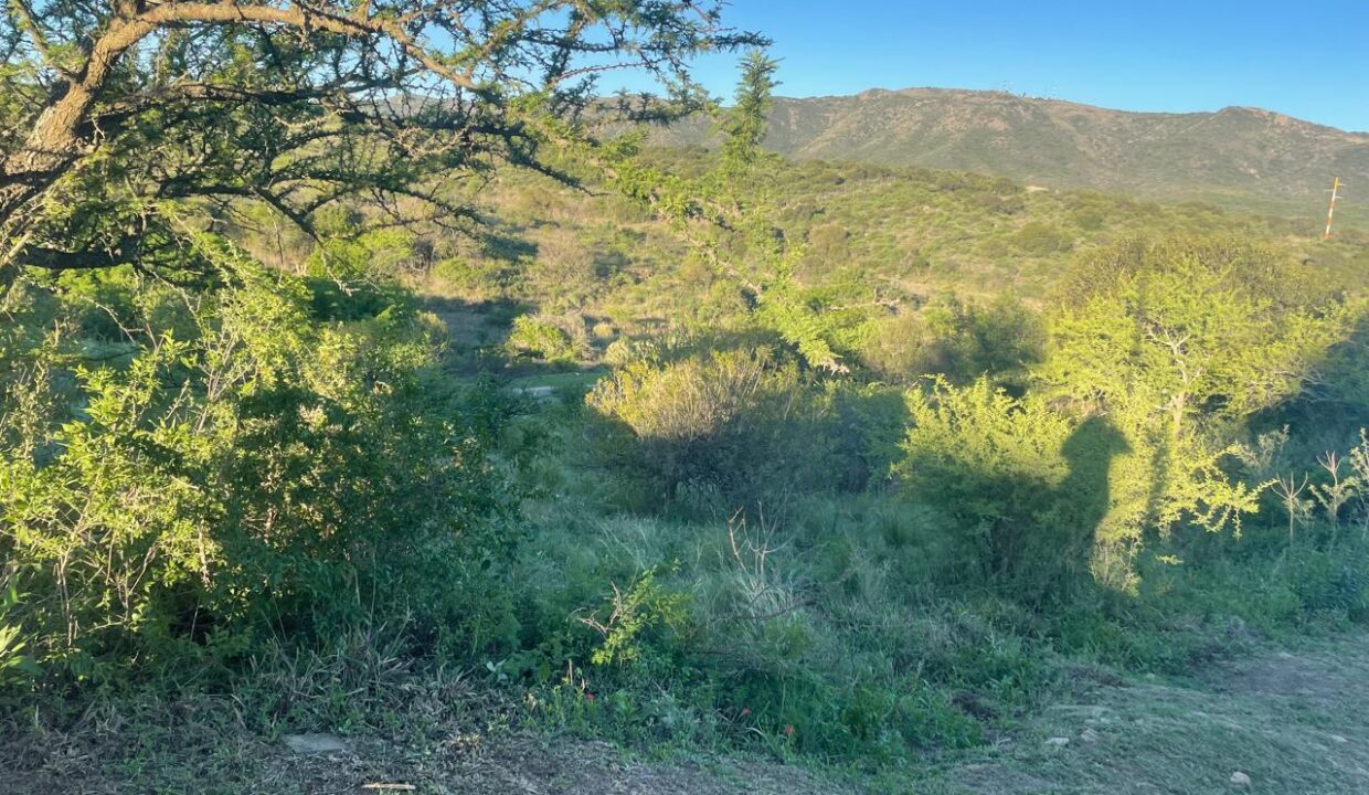 51910e9d-583e-4762-916d-defc57b0830f