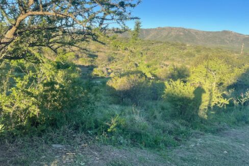 51910e9d-583e-4762-916d-defc57b0830f