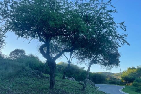 59b23d79-4081-48f7-a392-89bf2dc558ce