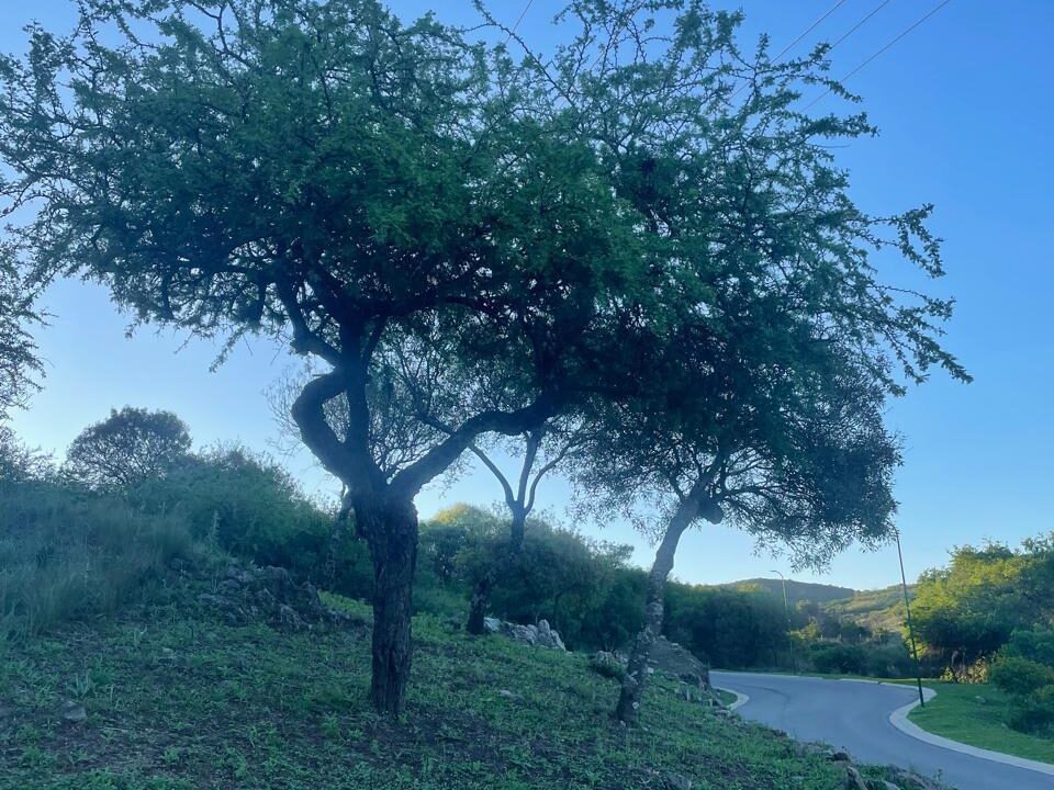 59b23d79-4081-48f7-a392-89bf2dc558ce