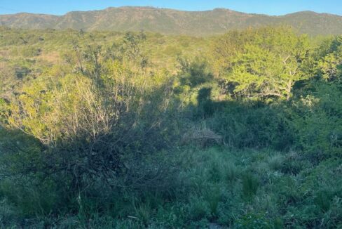 7a4d7949-8eb1-4709-8b86-d67e7e57ec01