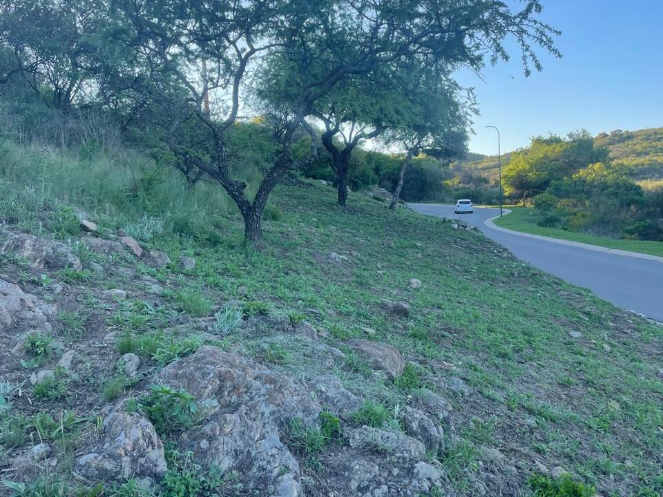 87c0259f-9bc5-4f9b-aacc-65c727cf413c