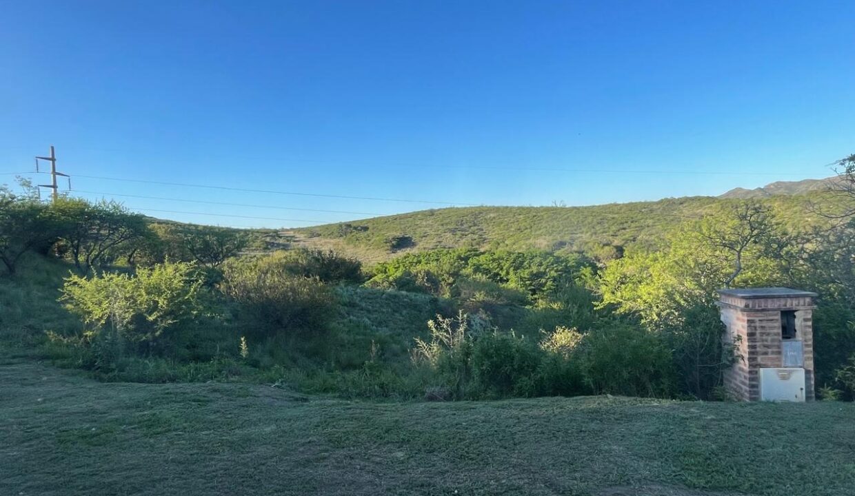 92a83a78-83e8-4dc0-9c71-2d4ceaae830a