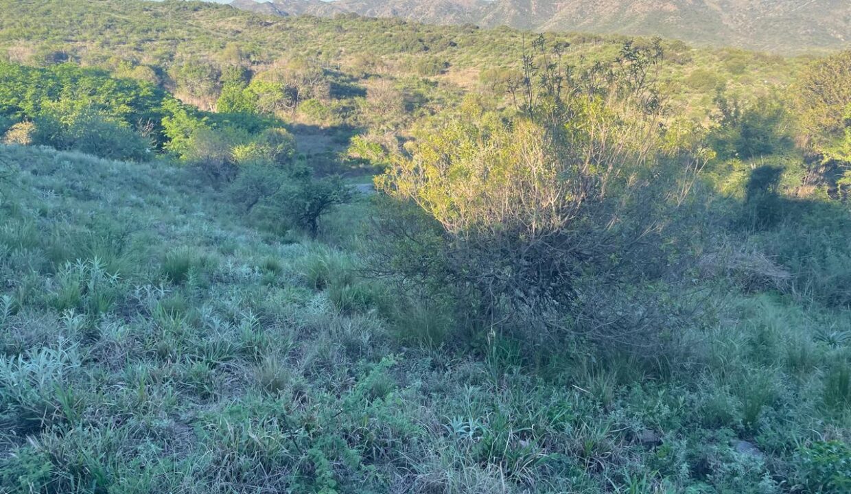 b7ded0ce-6cb0-4504-93f4-f004ceff45dd