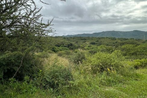 cfb7262f-f9f8-4d5a-a842-36094c7c35a8