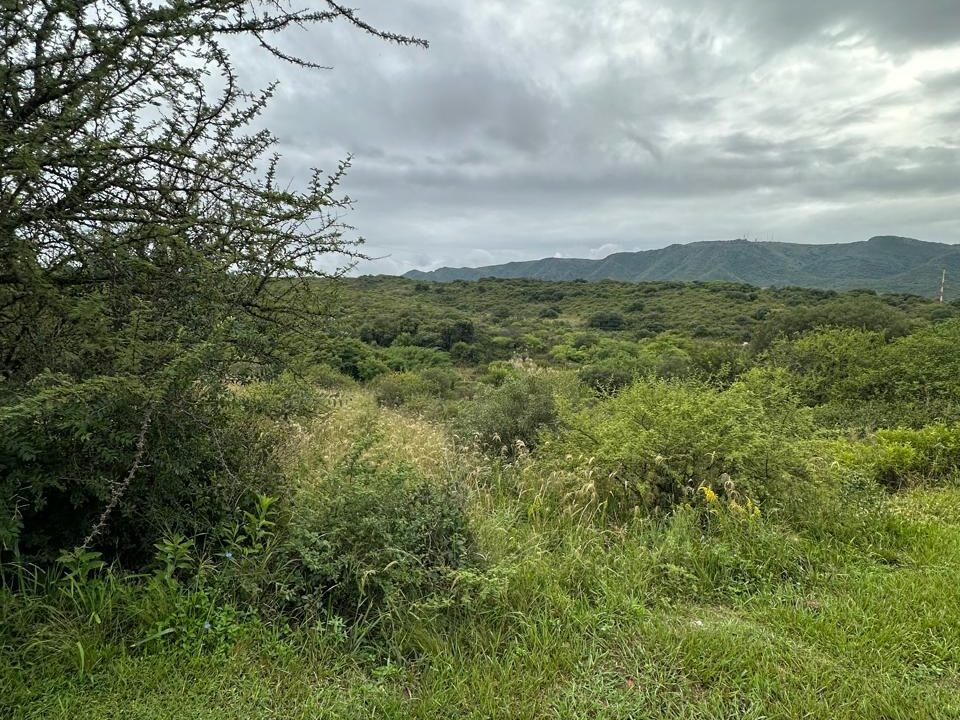 cfb7262f-f9f8-4d5a-a842-36094c7c35a8