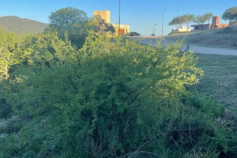 d58e3e72-4e94-4031-8981-3735303bec55