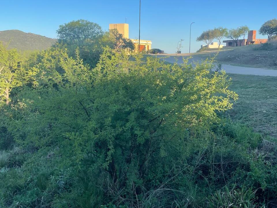 d58e3e72-4e94-4031-8981-3735303bec55