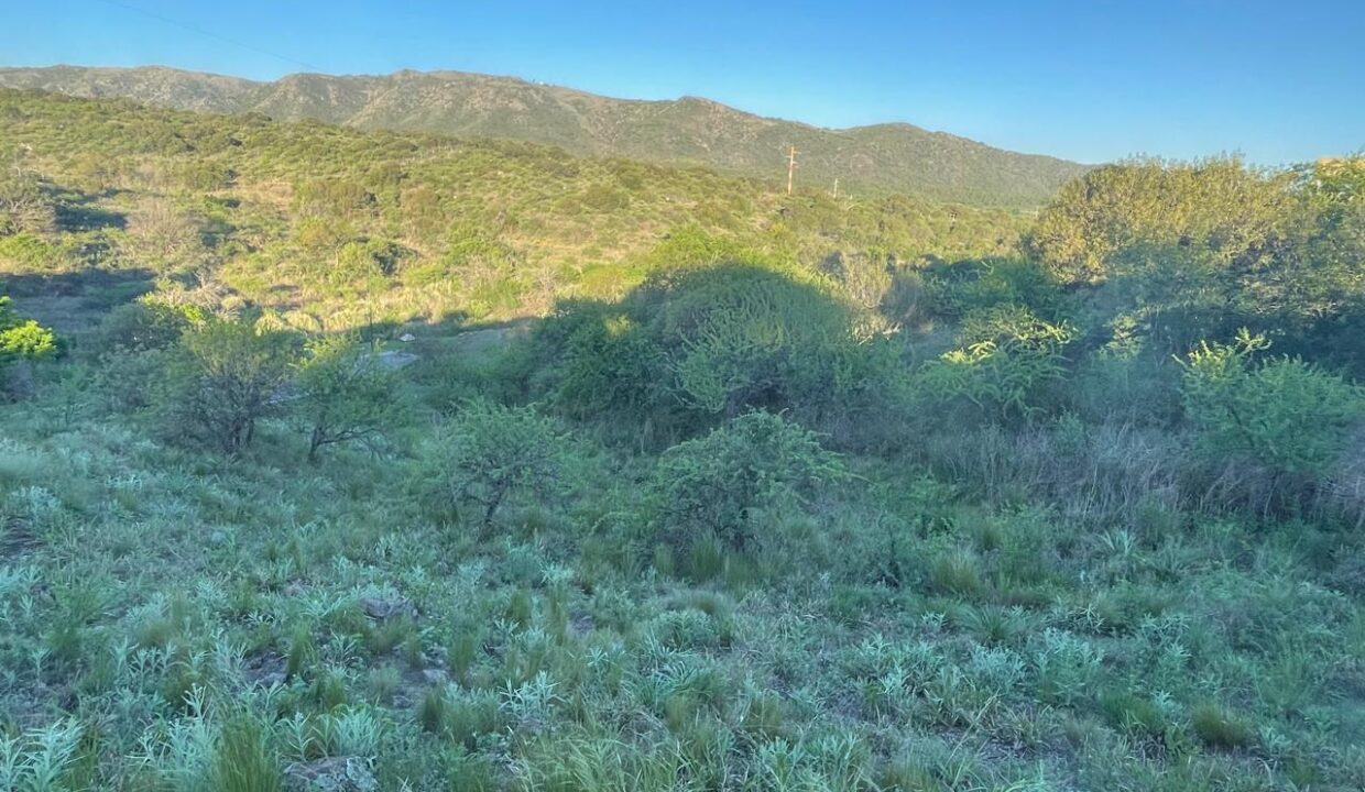 ef64c5fa-c6a1-4a31-b05f-a1f029694aac