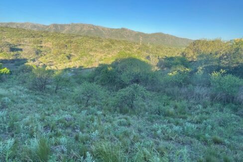 ef64c5fa-c6a1-4a31-b05f-a1f029694aac