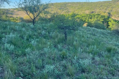 f7b5b521-caee-42ce-a39d-52d0ab45b934