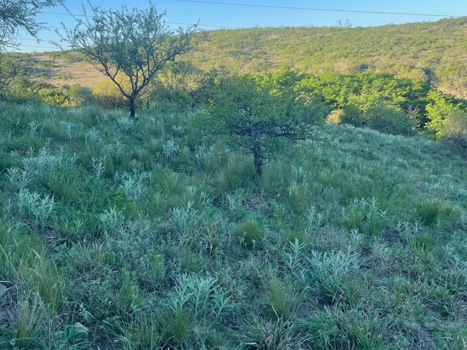 f7b5b521-caee-42ce-a39d-52d0ab45b934